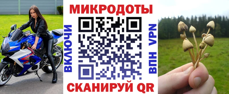 даркнет сайт  Людиново  Псилоцибиновые грибы мицелий 